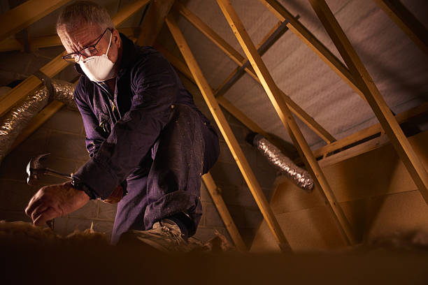 Best Specialty Insulation in Proctor, VT